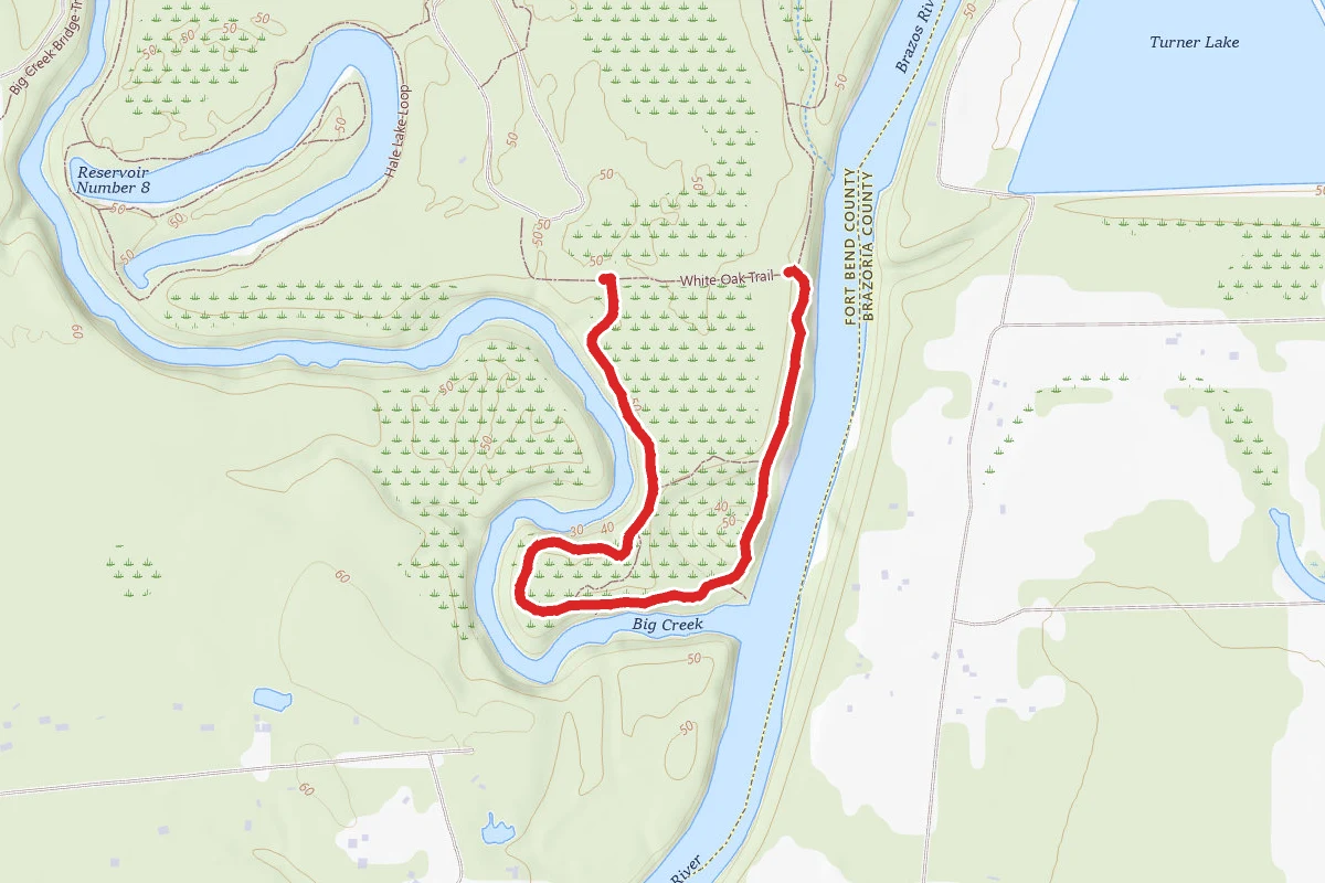 Brazos Bend Hike