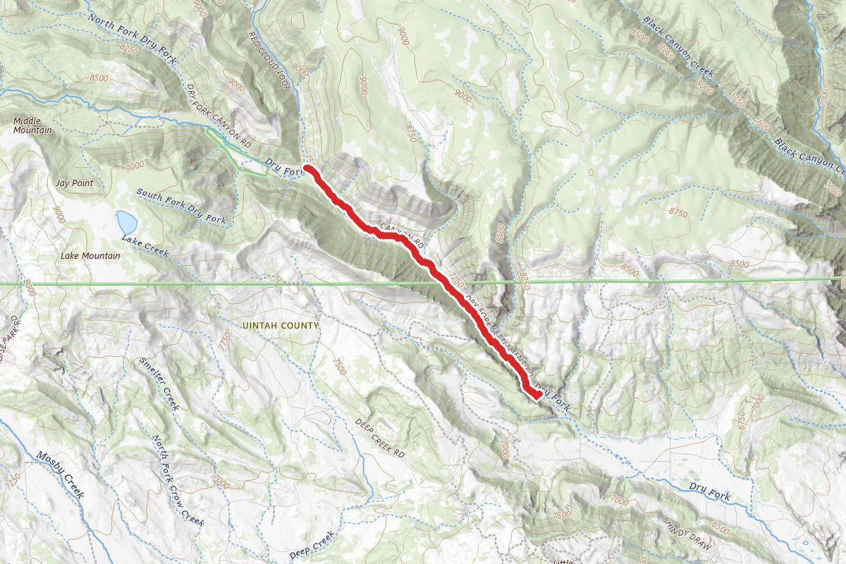 Dry Fork Flume Interpretive Trail