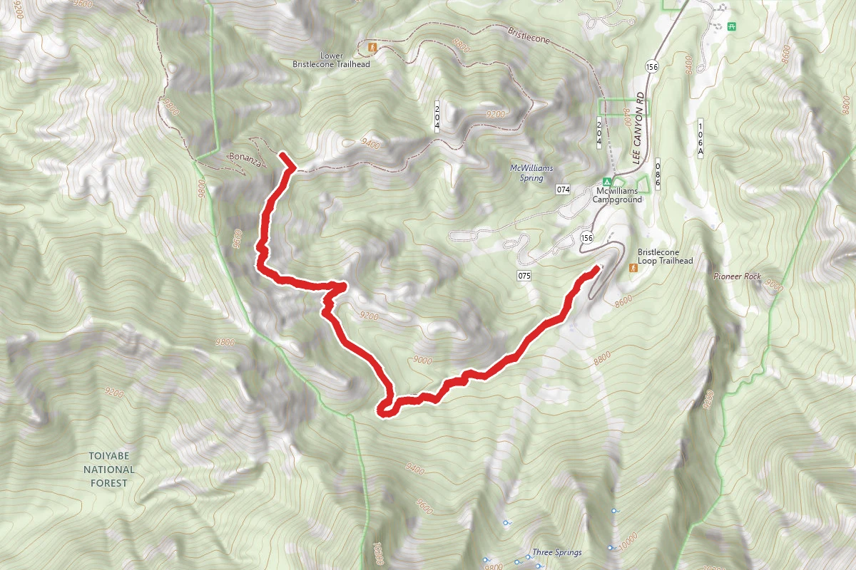 Upper Bristlecone Trail