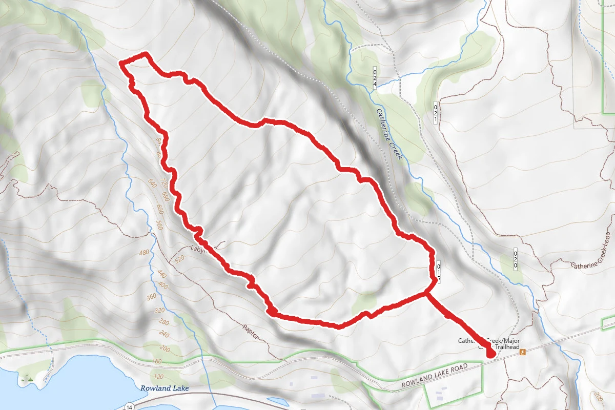 Rowland Loop
