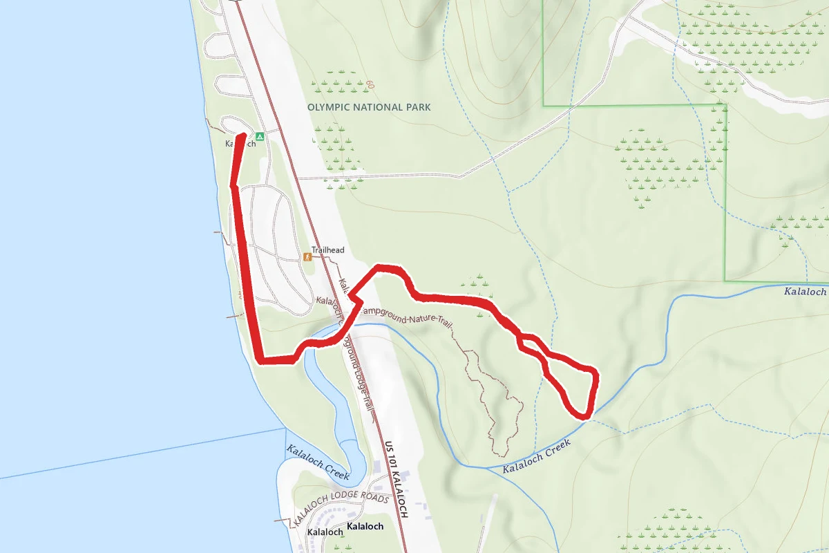 Kalaloch Nature Trail