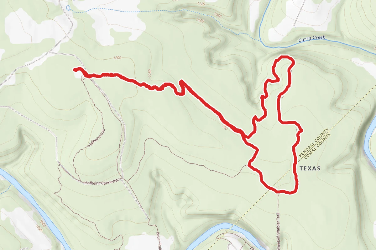 Bamberger Trail, Curry Creek Overlook Trail, and Golden-cheeked Warbler Loop