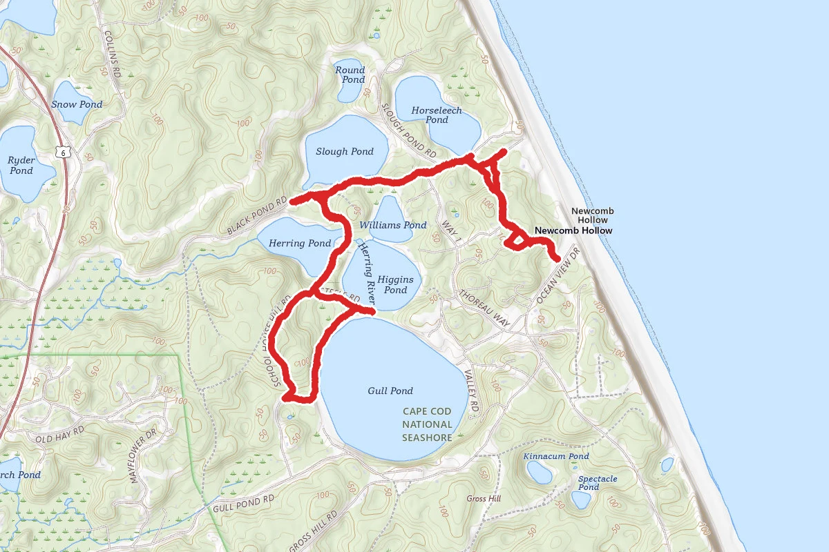 Newcomb Hollow Ponds Trail
