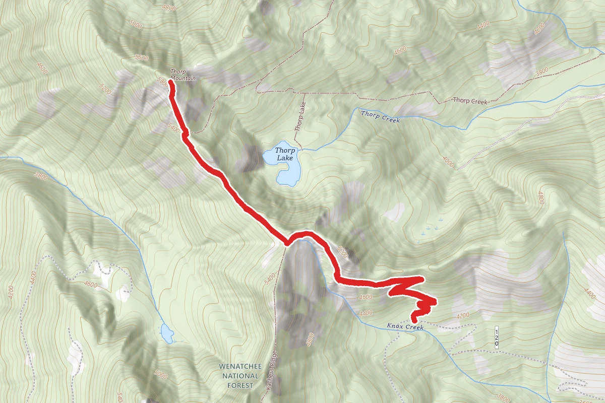 Thorp Mountain via Knox Creek and Kachess Ridge Trails