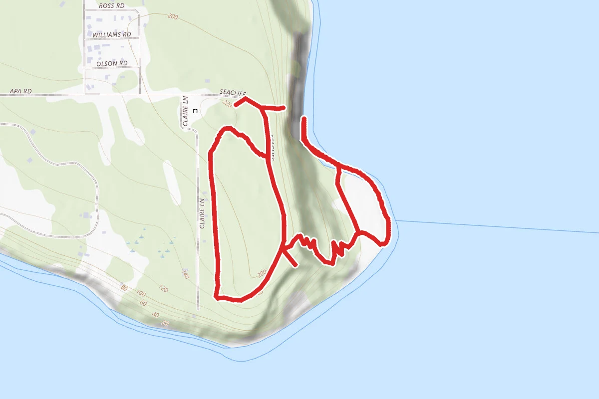 Lily Point Loop