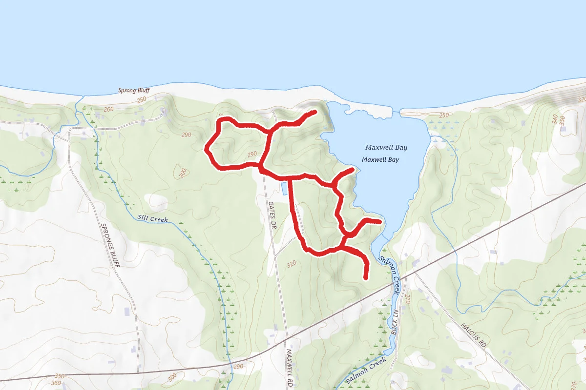 Beechwood Trails