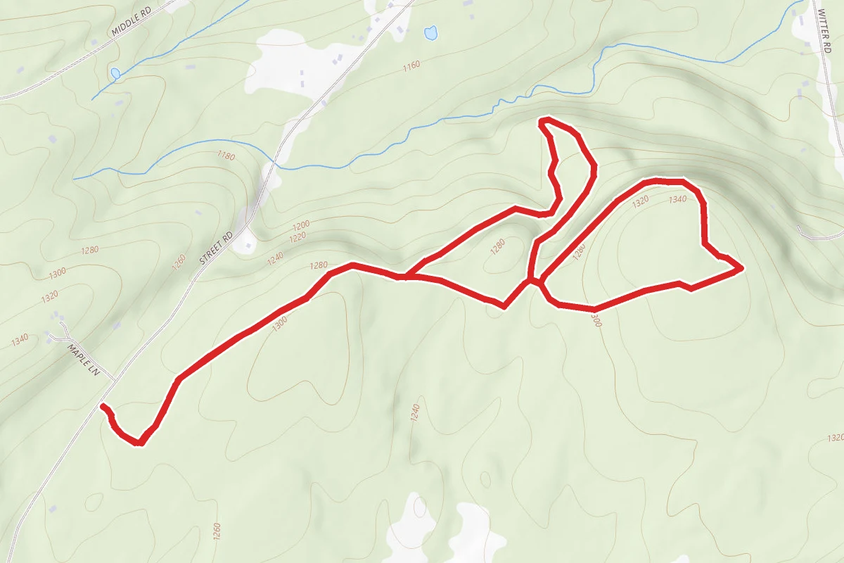 Winn Preserve Loop Trail