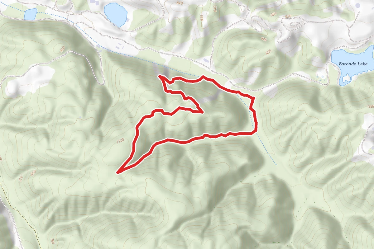 Steep Hollow and Los Trancos Trail Loop