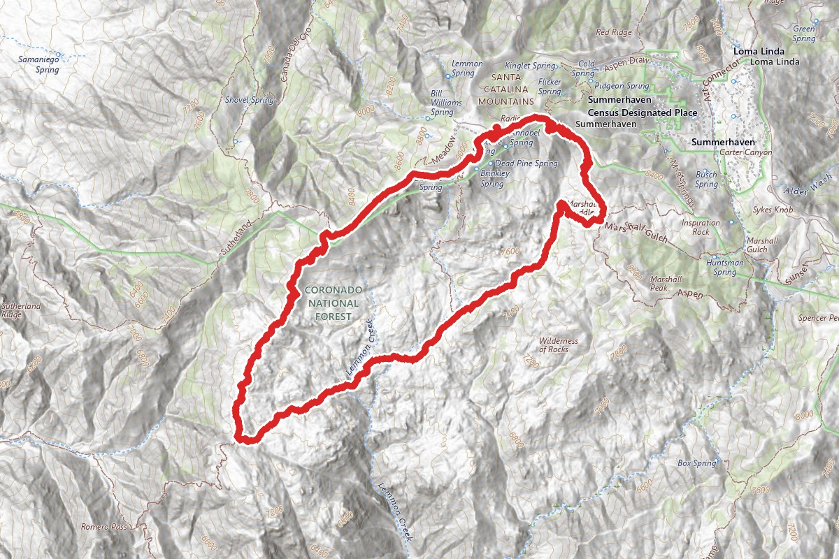 Mount Lemmon Trail to Aspen Trail Loop
