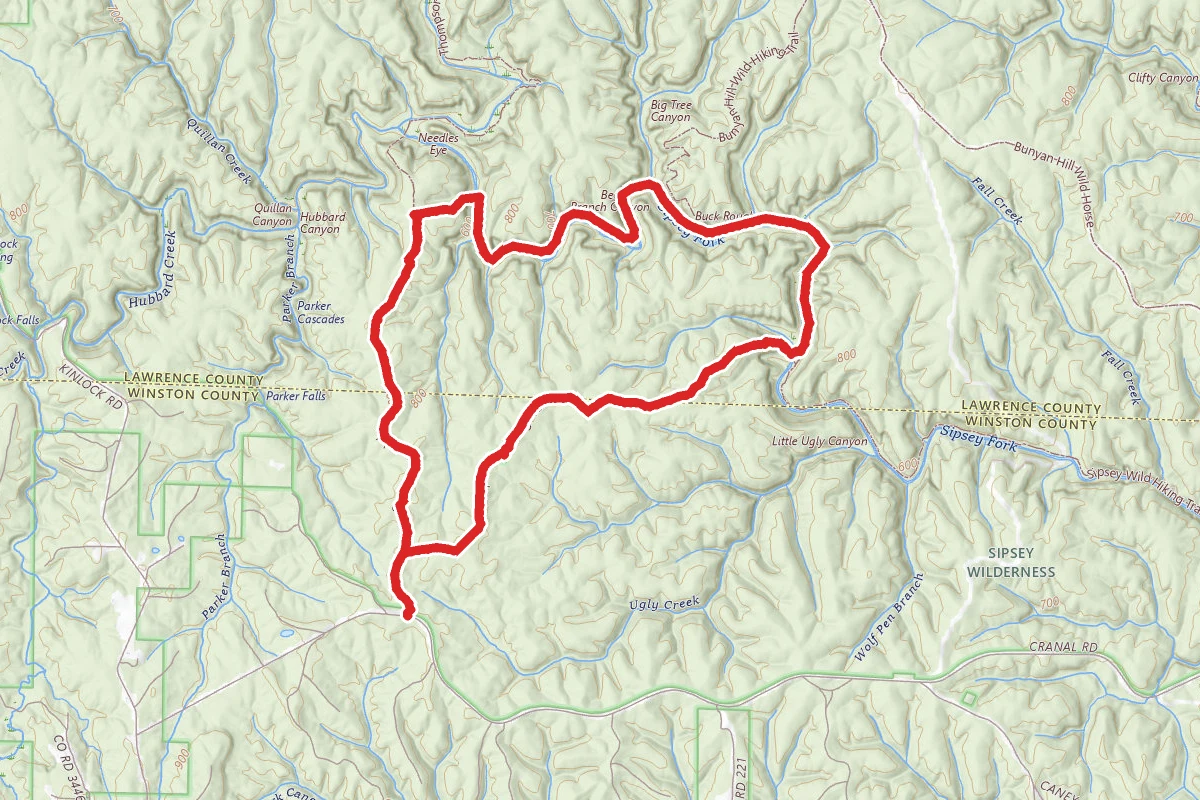 Randolph and Sipsey Loop Trail