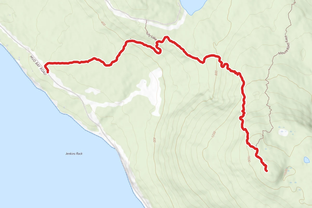Mount Riley Trail