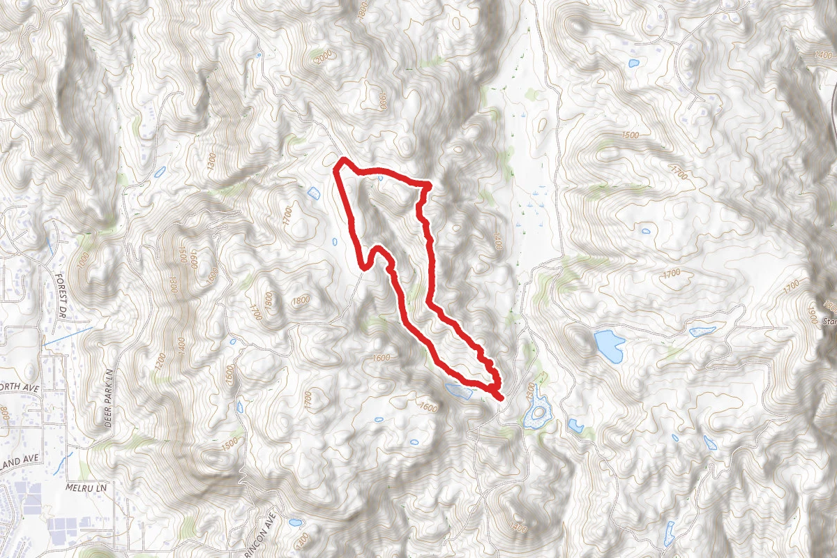 Boulder Loop to Cougar Ridge Trail to Crest Trail Loop