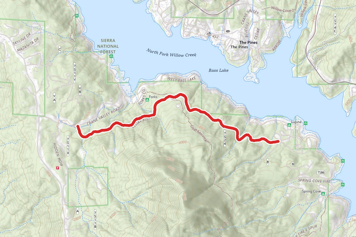 Goat Mountain Forest Road
