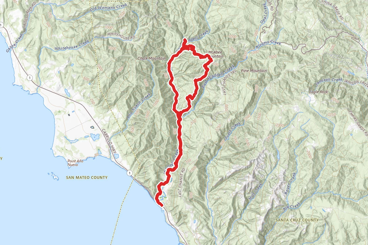 Berry Creek Falls Loop via Waddell Beach