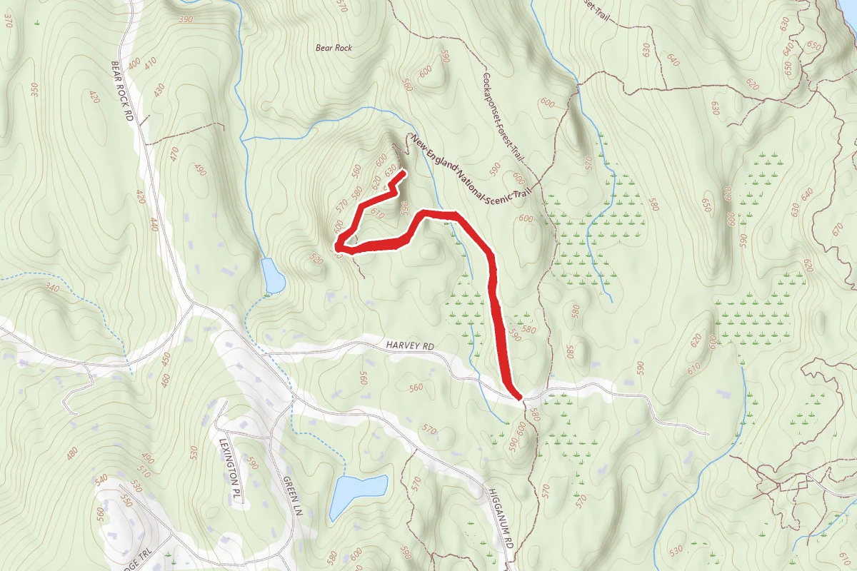Bear Rock Trail