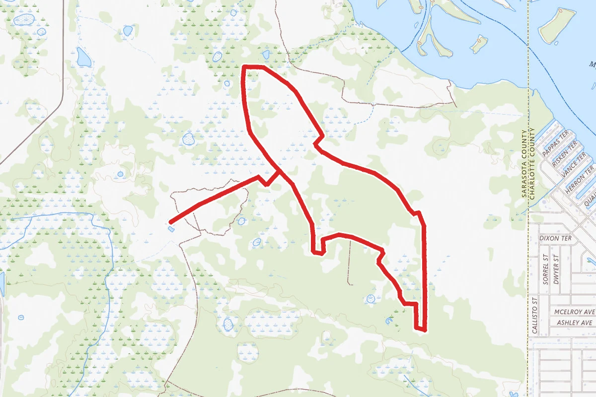 Myakka State Forest North Loop