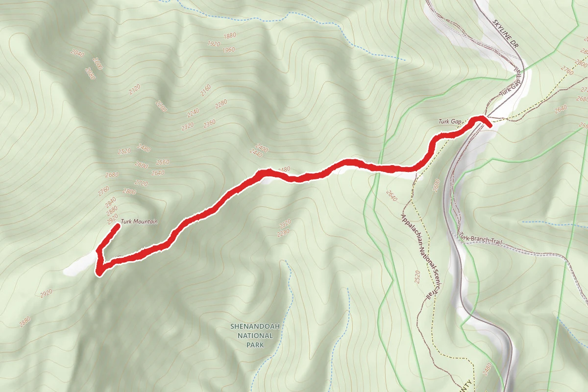 Turk Mountain Trail