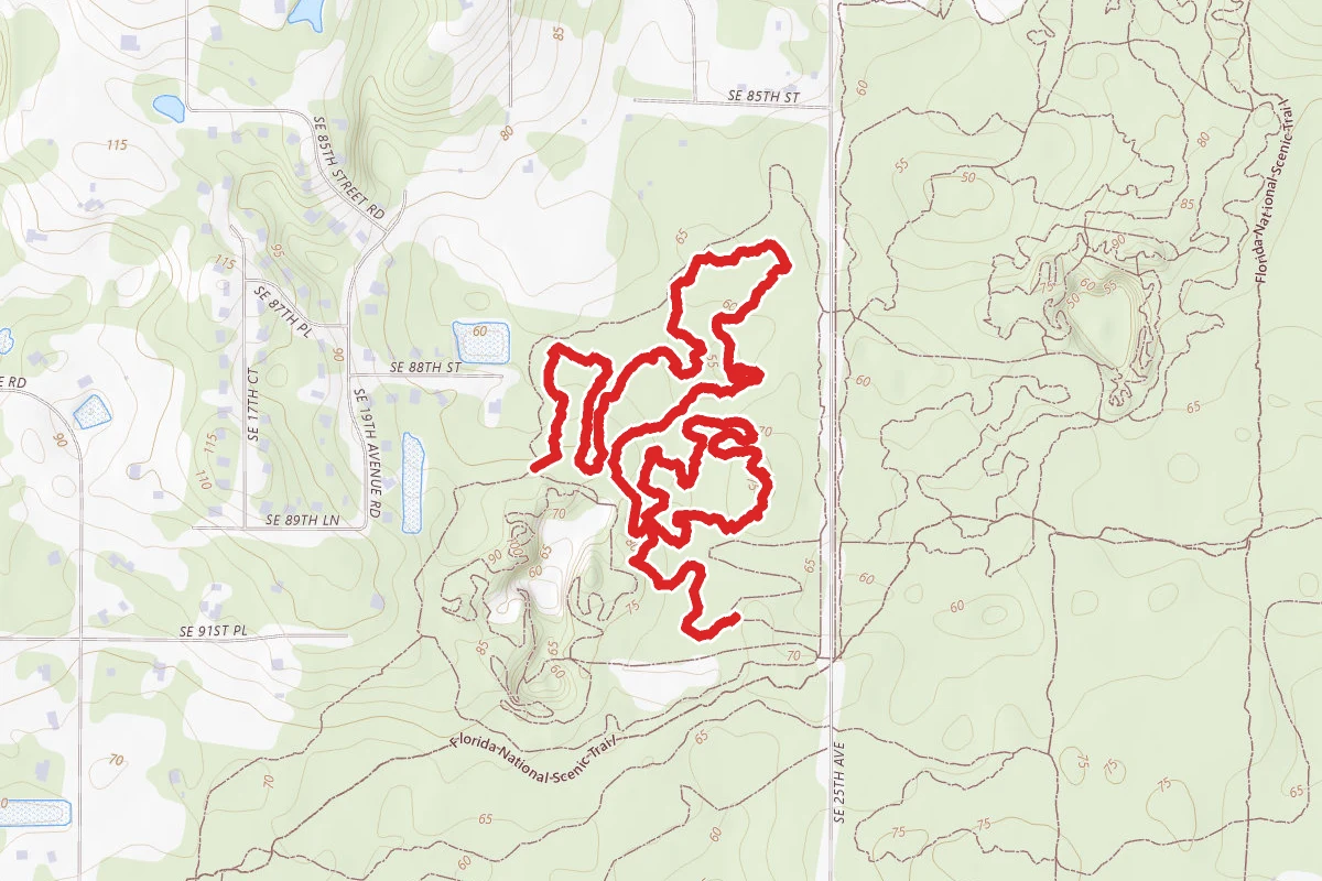 Vortex Mountain Bike Area from Vortex Trailhead