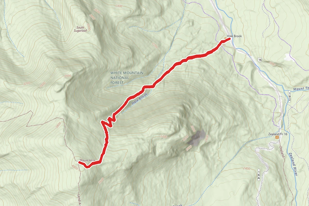 Mount Hale via Hale Brook Trail