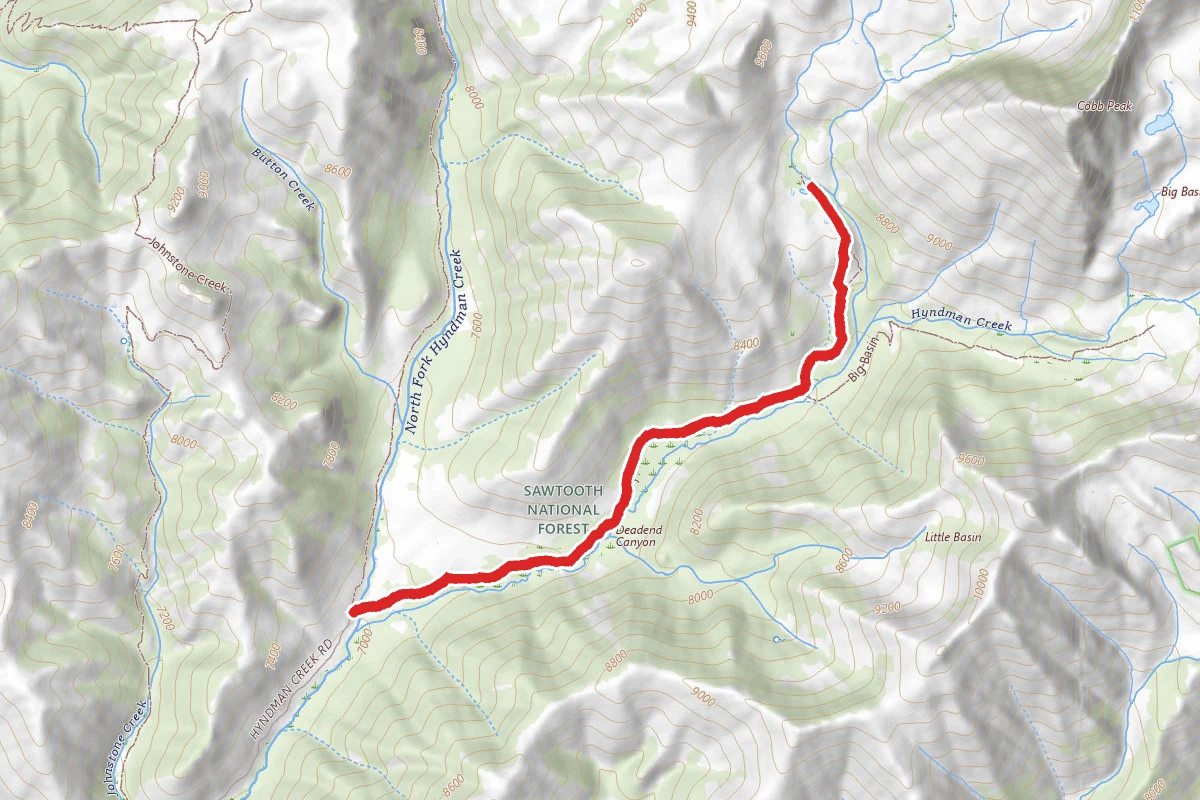 Hyndman Creek Trail