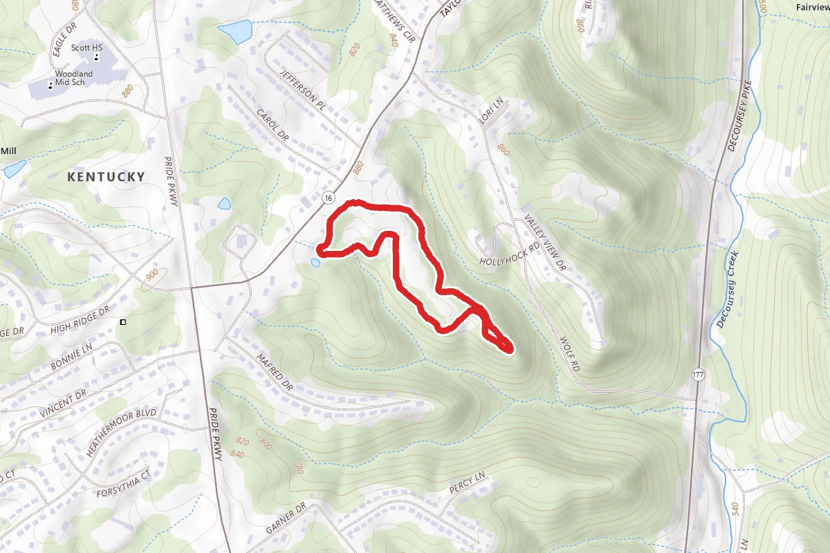 Pride Park Nature Trail
