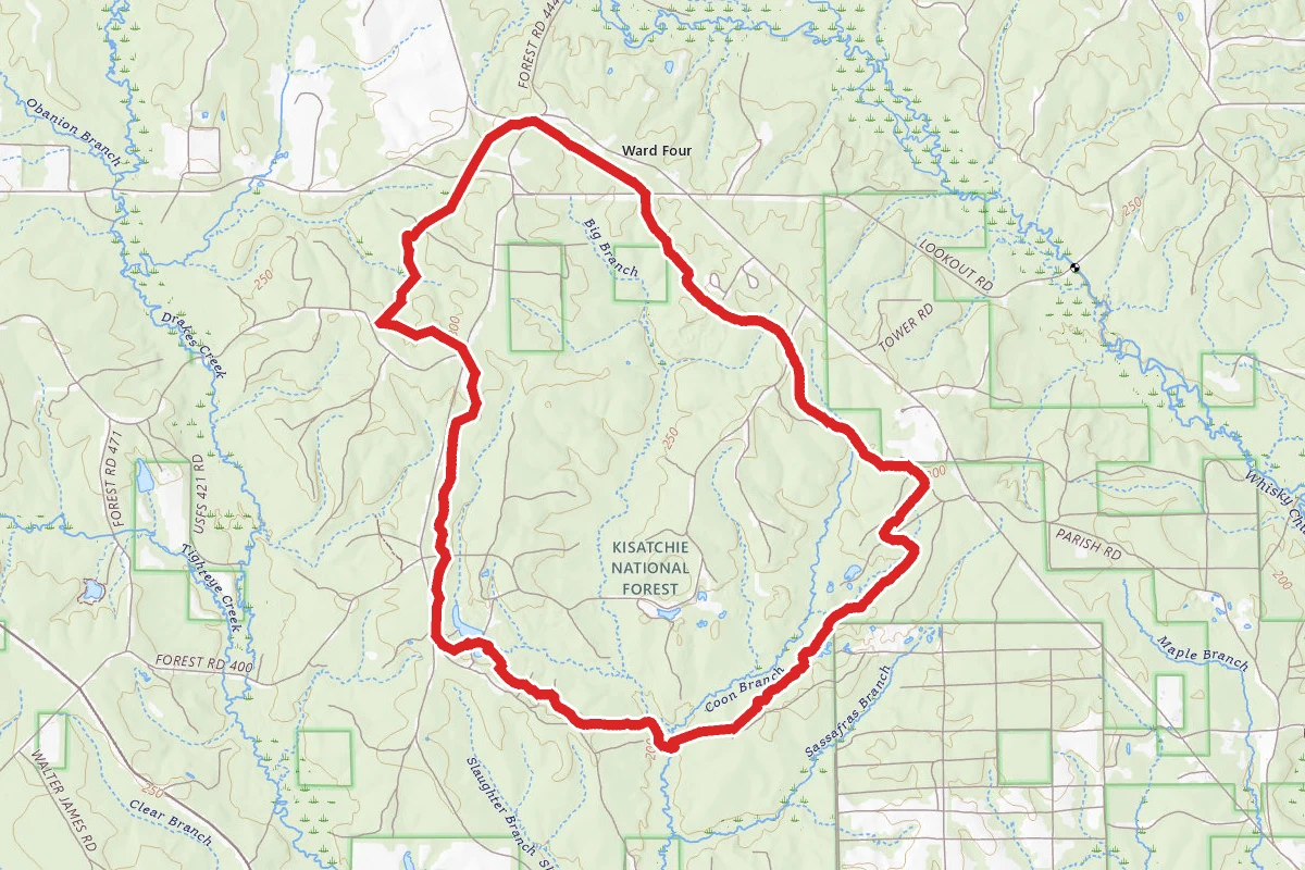 Big Branch Trail