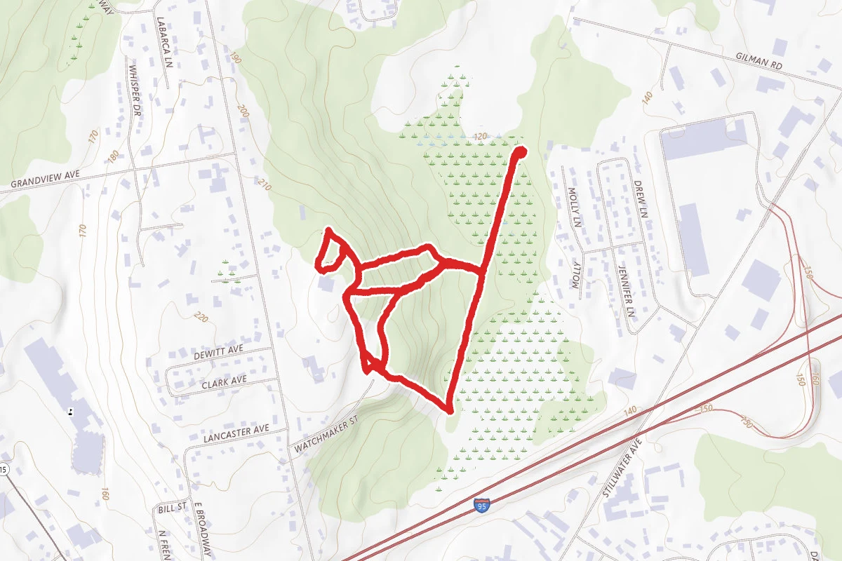 Essex Woods Loop