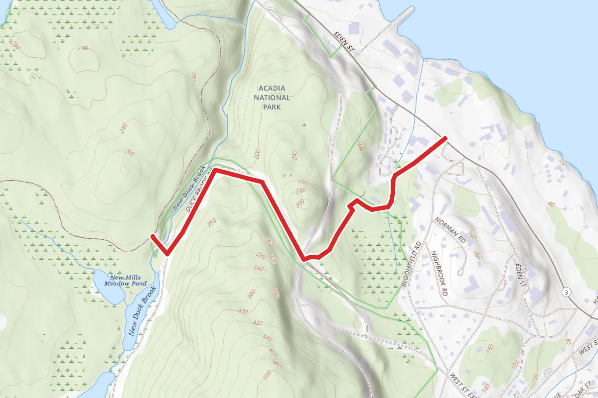 Duck Brook Trail