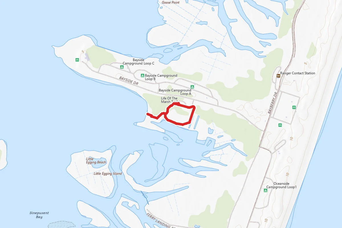 Life of the Marsh Trail