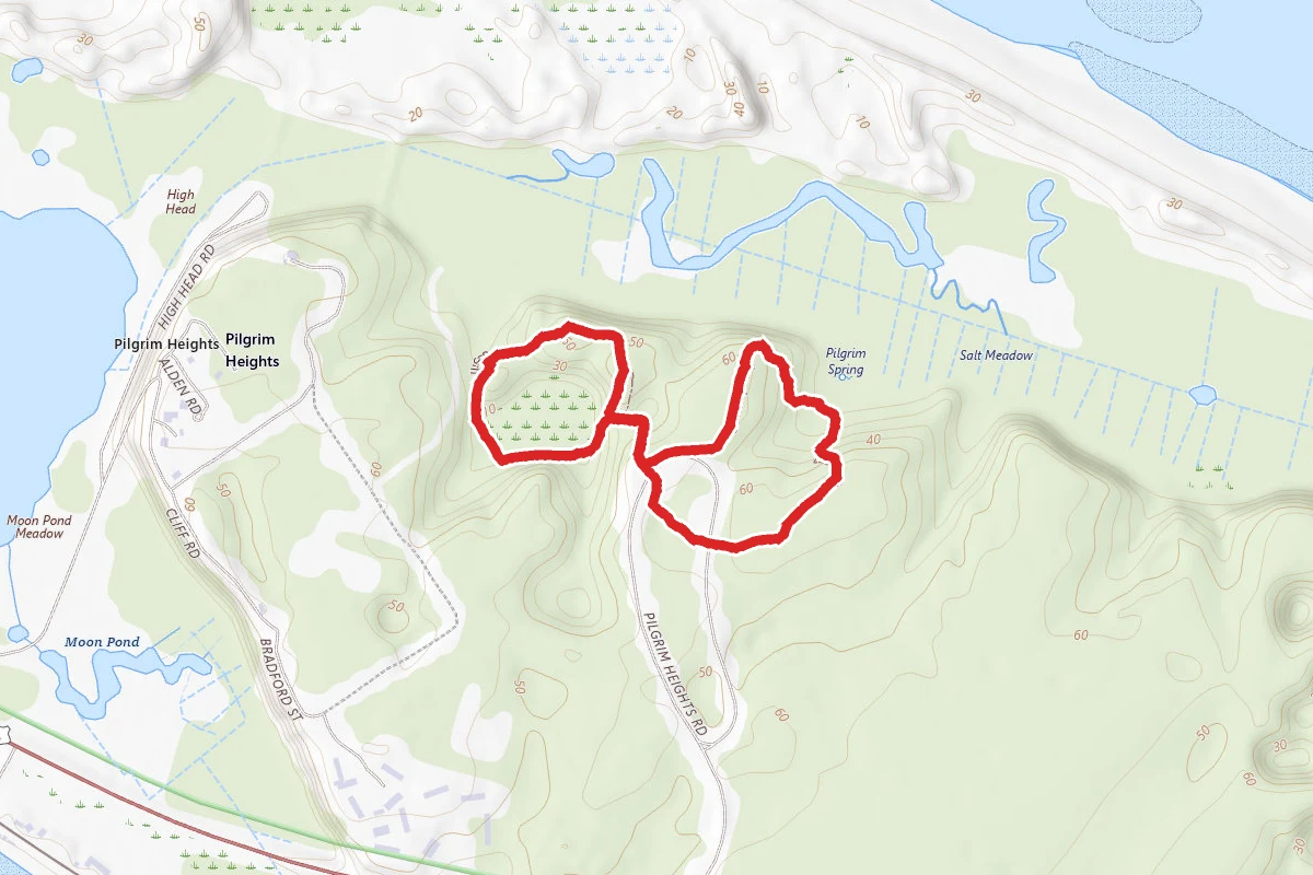 Pilgrim Spring Trail and Small's Swamp Trail