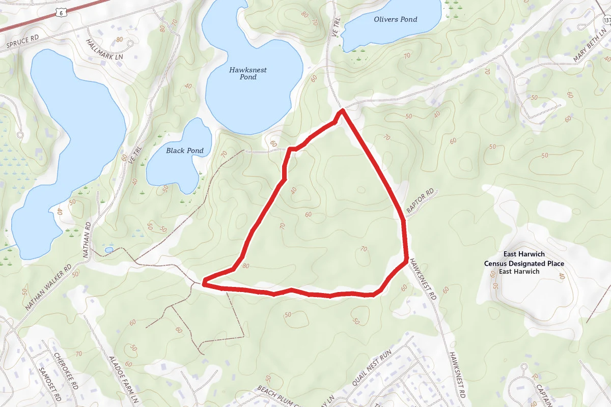 Kettle Pond Ramble Trail