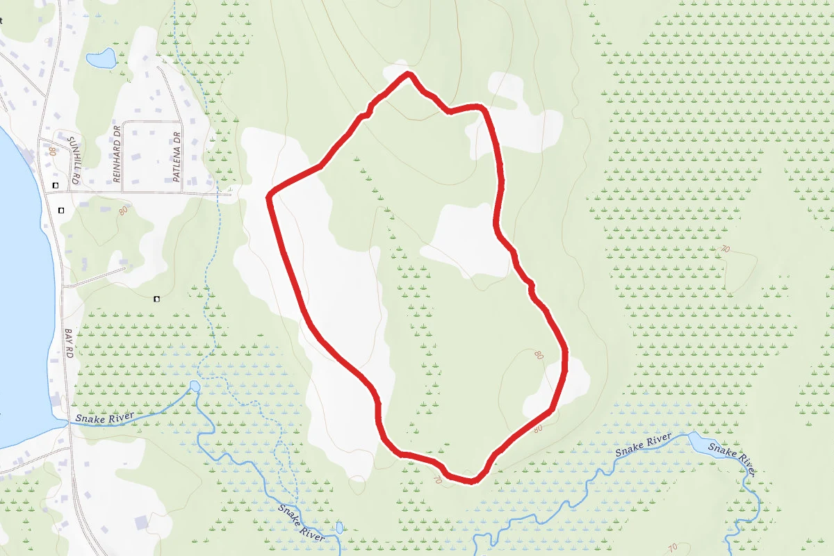 Hockamock Swamp