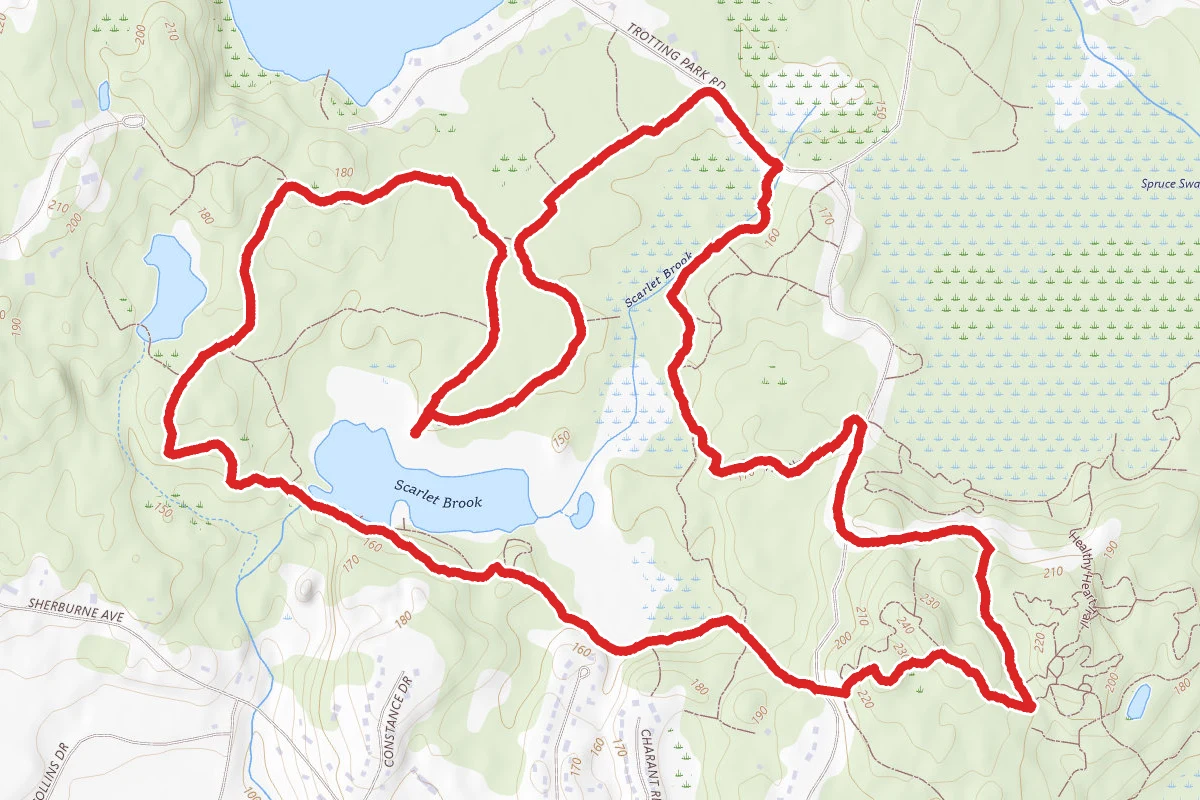 Scarlet Brook Loop