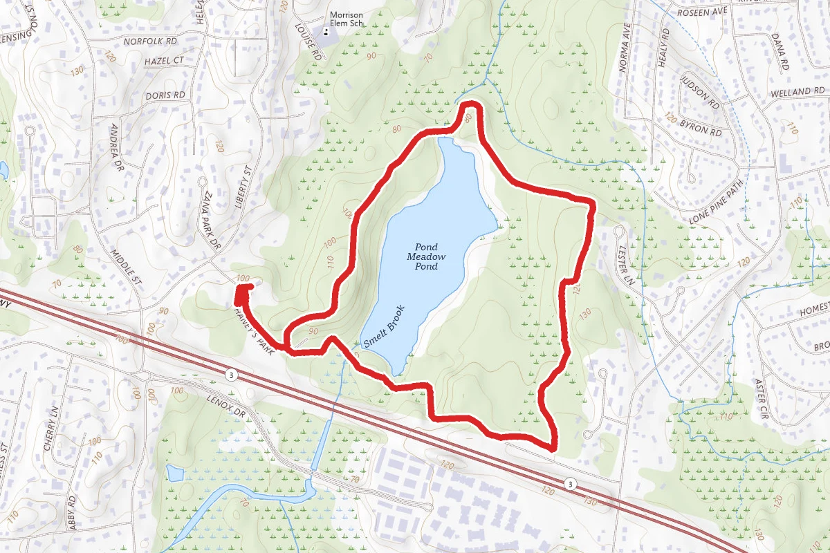 Ranger and Meadow Loop Trail
