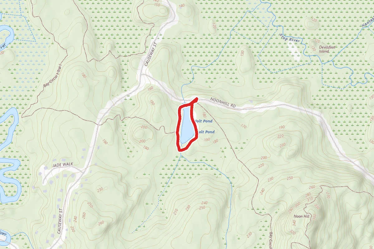 Holt Pond