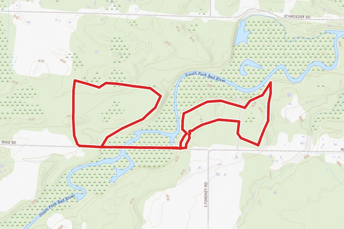 Ringwood Forest Loop