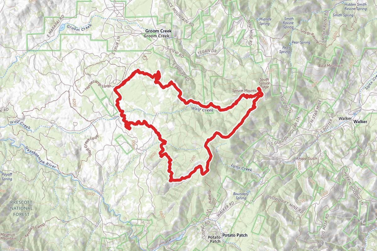 Spruce Mountain via Groom Creek Loop (#307)