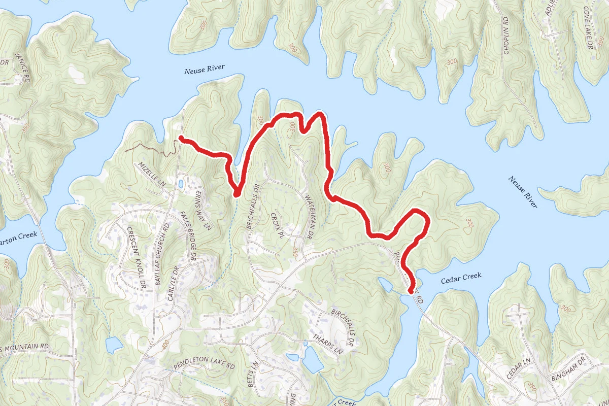 Falls Lake Trail from Bayleaf Church Rd