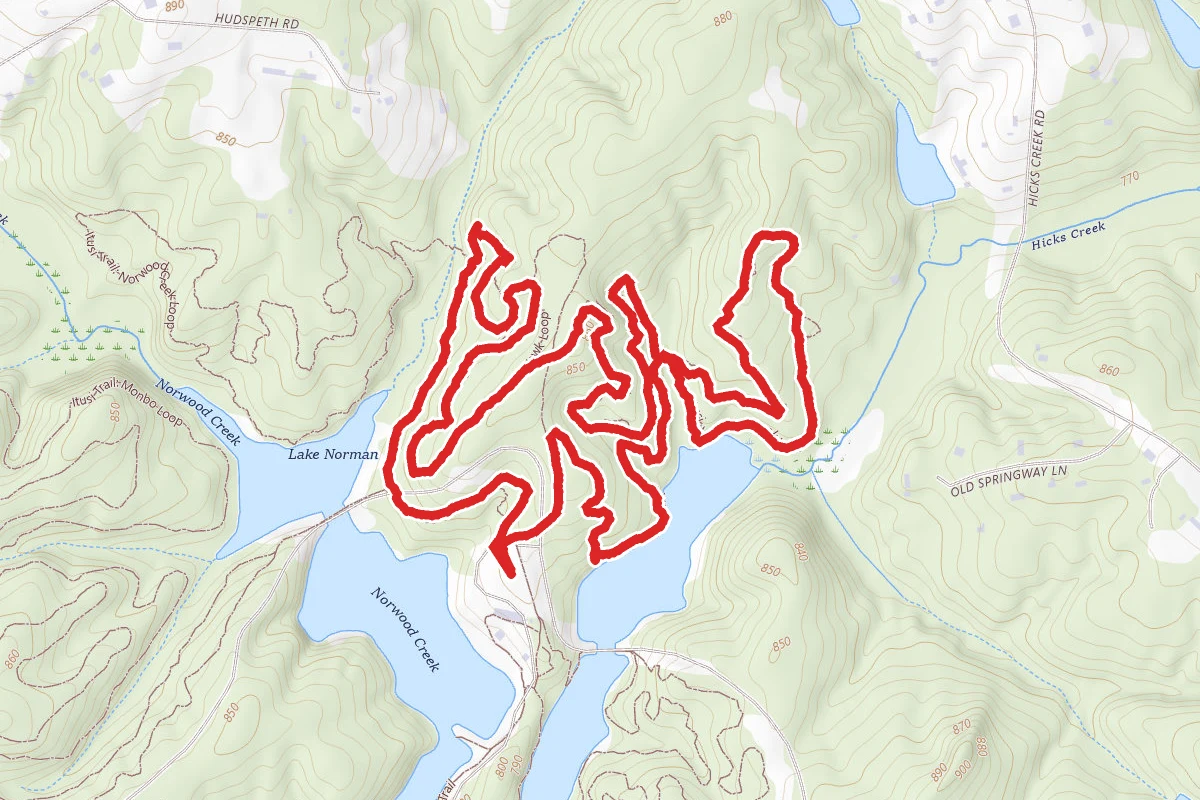 Hawk Loop and Hicks Creep Loop