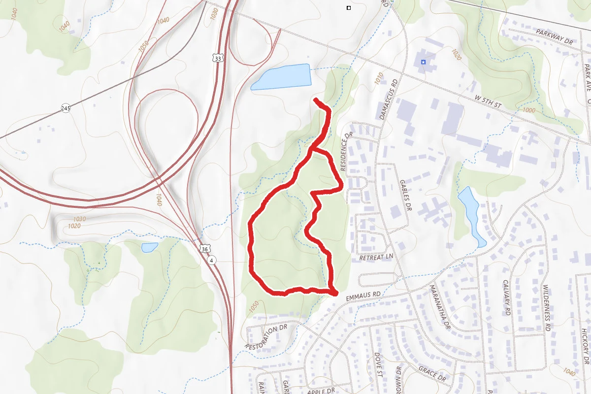 Maclvor Woods Loop
