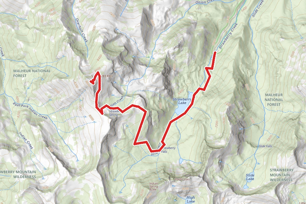 Strawberry Mountain and Strawberry Lake Via Strawberry Basin Trail