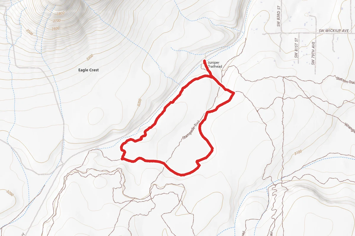 Oregon Sunshine Trail and Pumice Foot Trail Loop