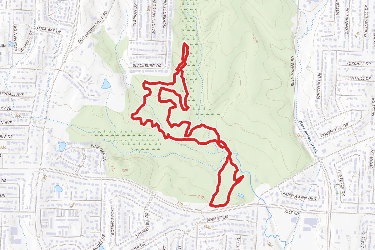 Stanky Creek Yellow Trail