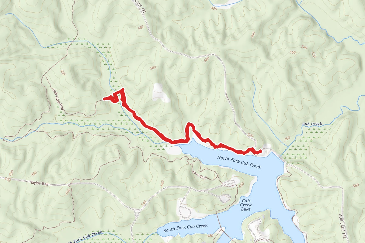 Cub Lake Trail