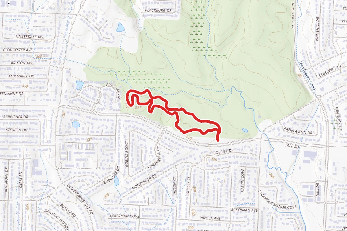 Stanky Creek Blue Trail