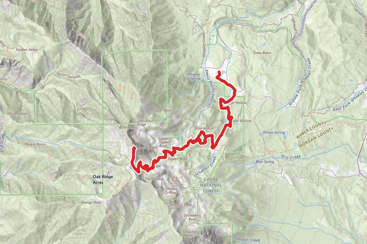 Mount Ogden Trail (via Snowbasin Gondola)