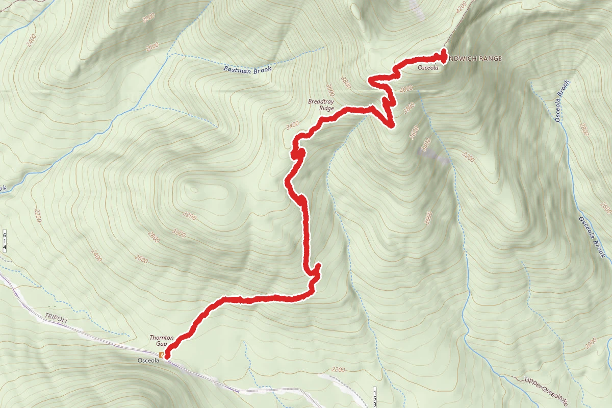 Mount Osceola Summit