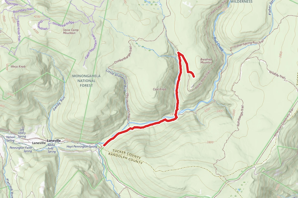 Red Creek Trail to Lion's Head Rocks