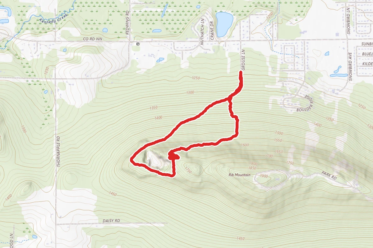 Turkey Vulture to Homestead Loop
