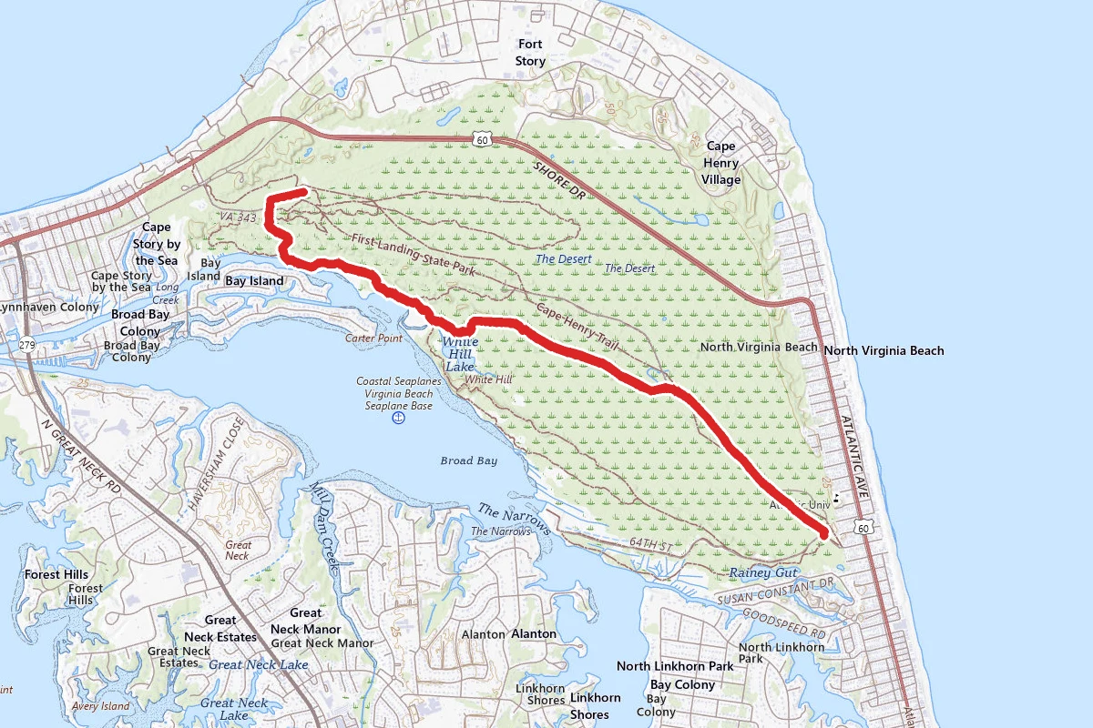 White Hill Lake Trail